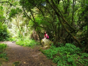 Imagen Sendero cascada Condor Machay